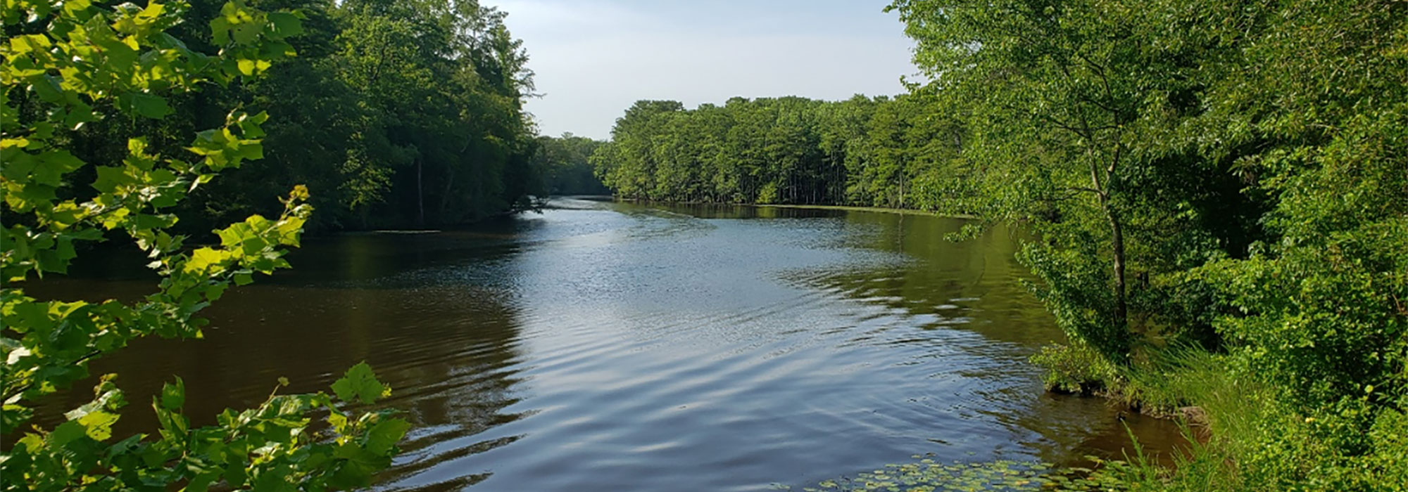The Nottoway River flowing through tribal lands
